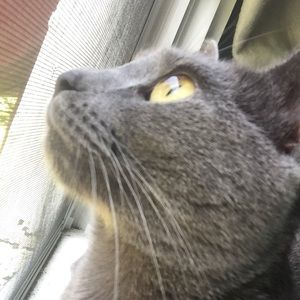 Meet your Posher, Becky